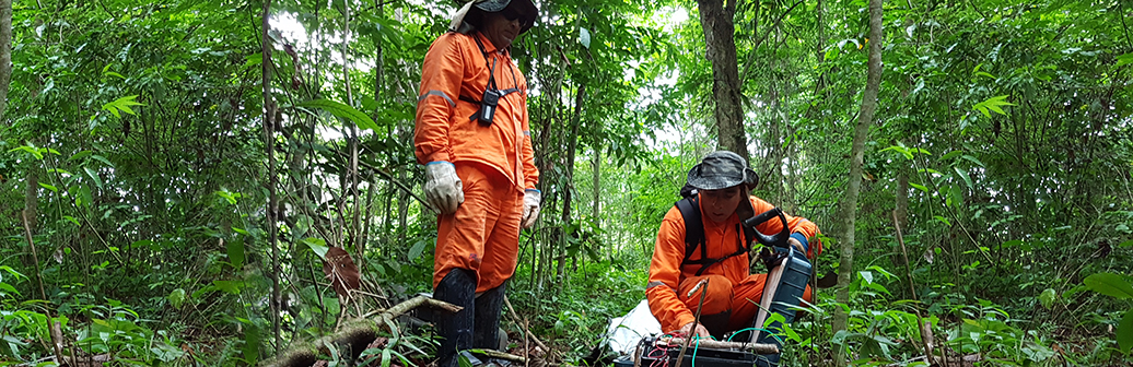Presencia Internacional